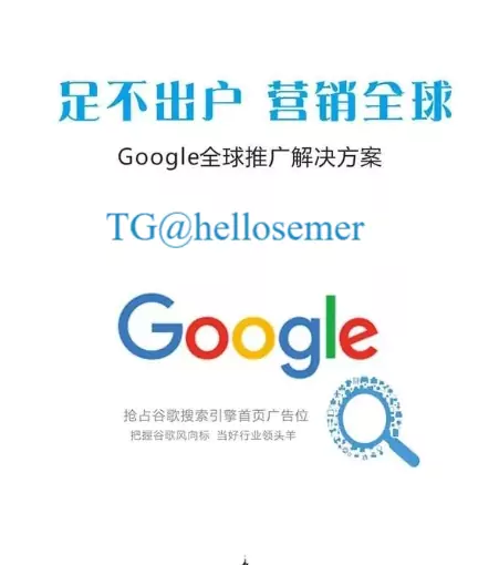 谷歌代投